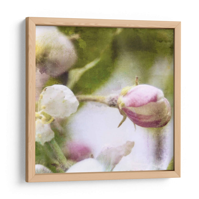 Apple Blossom I - Open Journey | Cuadro decorativo de Canvas Lab