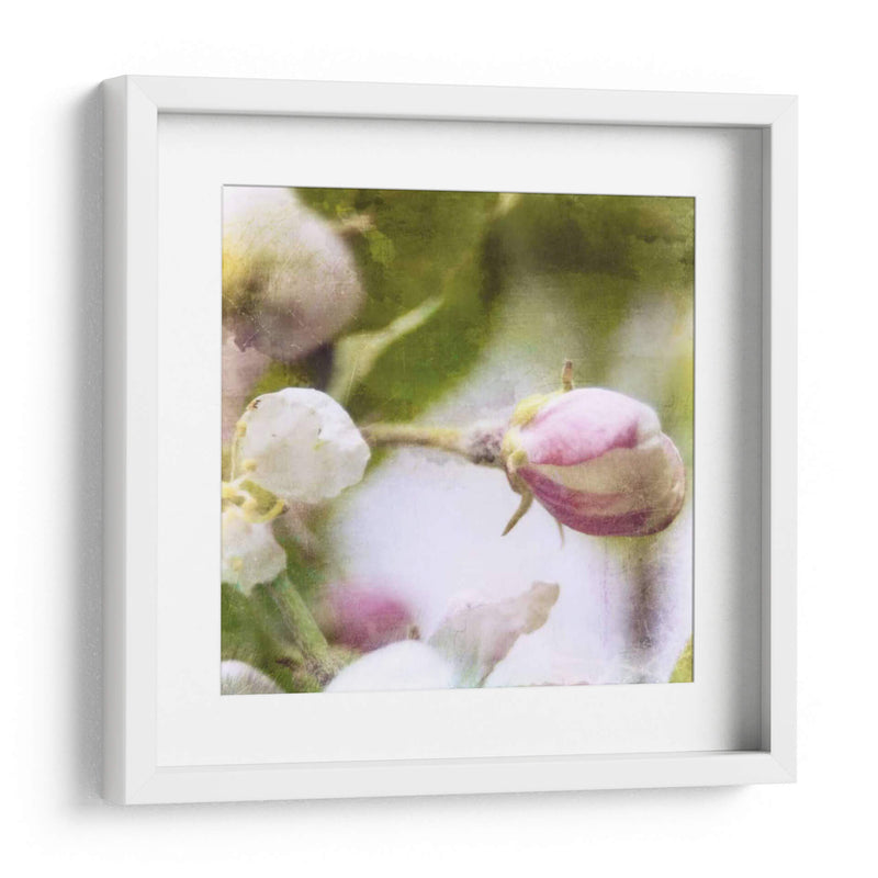 Apple Blossom I - Open Journey | Cuadro decorativo de Canvas Lab