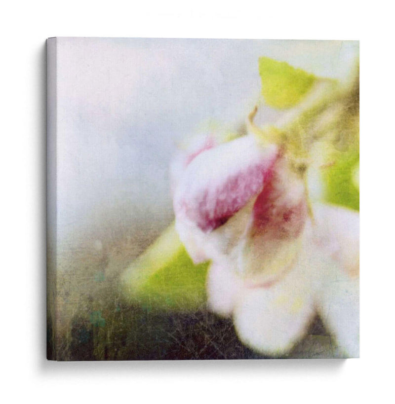 Apple Blossom Ii - Open Journey | Cuadro decorativo de Canvas Lab