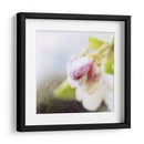 Apple Blossom Ii - Open Journey | Cuadro decorativo de Canvas Lab