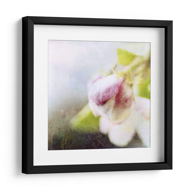 Apple Blossom Ii - Open Journey | Cuadro decorativo de Canvas Lab