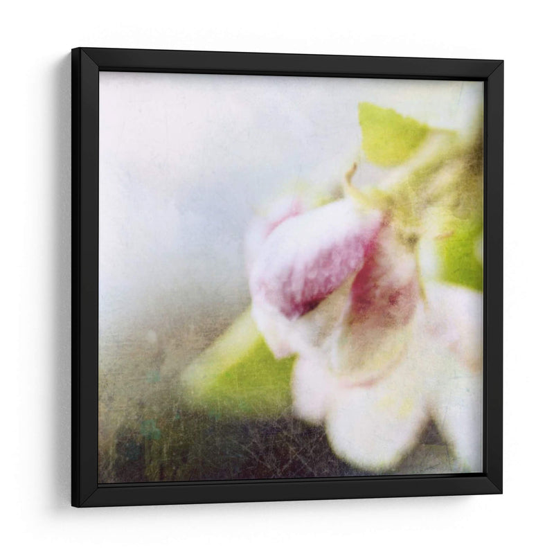 Apple Blossom Ii - Open Journey | Cuadro decorativo de Canvas Lab