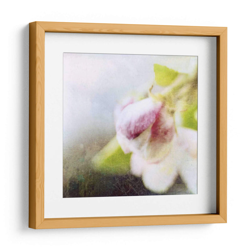 Apple Blossom Ii - Open Journey | Cuadro decorativo de Canvas Lab