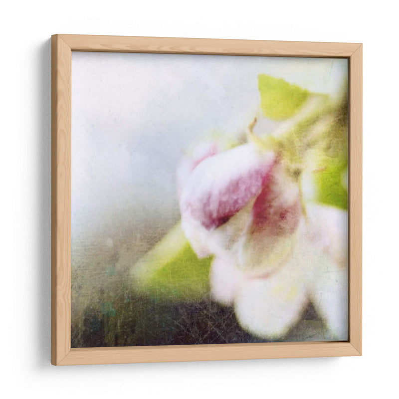 Apple Blossom Ii - Open Journey | Cuadro decorativo de Canvas Lab