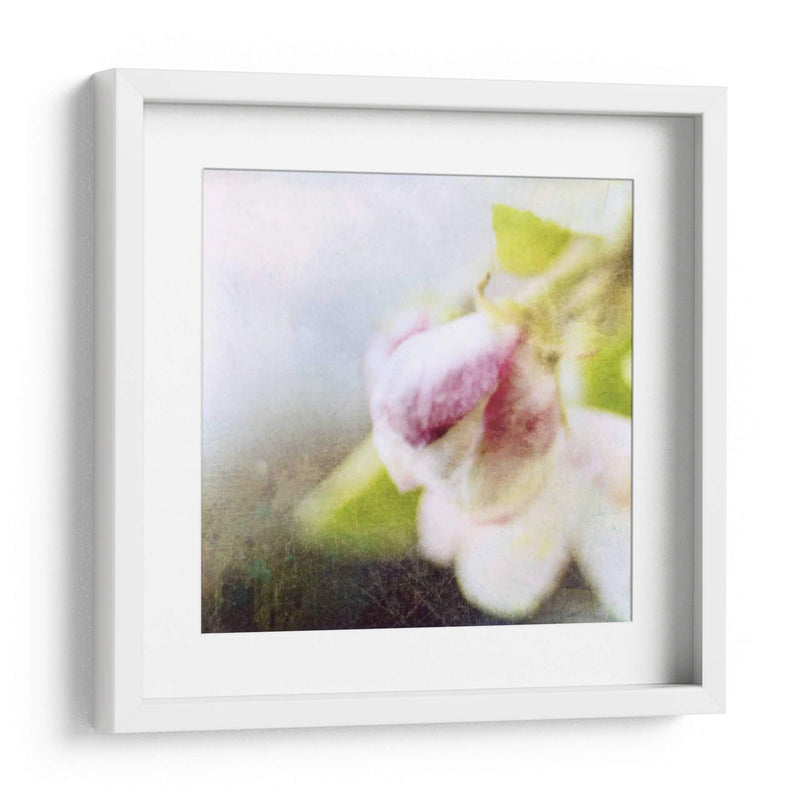 Apple Blossom Ii - Open Journey | Cuadro decorativo de Canvas Lab