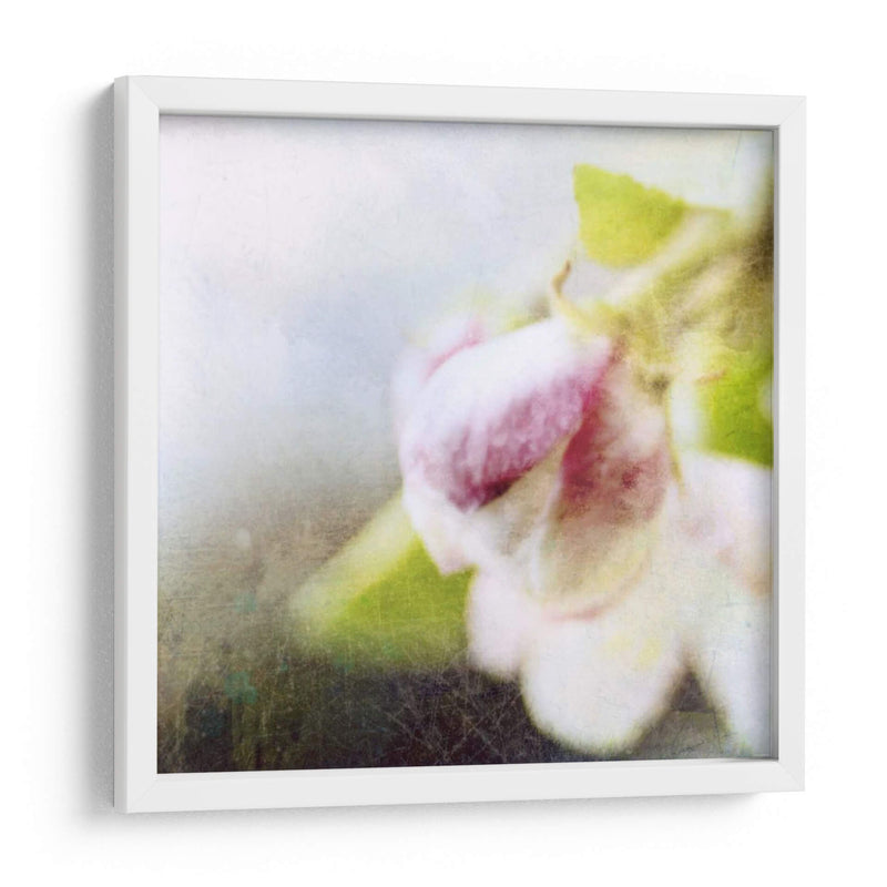 Apple Blossom Ii - Open Journey | Cuadro decorativo de Canvas Lab