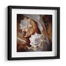 Conchas Macro Iii - Rachel Perry | Cuadro decorativo de Canvas Lab