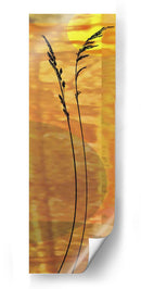 Sunset Duet Iv - James Burghardt | Cuadro decorativo de Canvas Lab