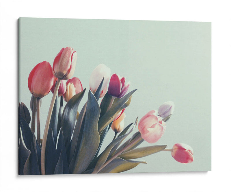 Suaves tulipanes | Cuadro decorativo de Canvas Lab