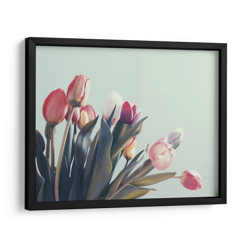 Suaves tulipanes | Cuadro decorativo de Canvas Lab