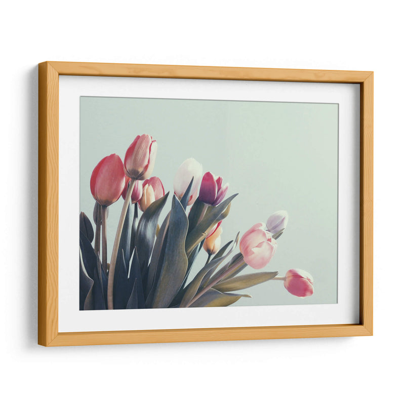 Suaves tulipanes | Cuadro decorativo de Canvas Lab