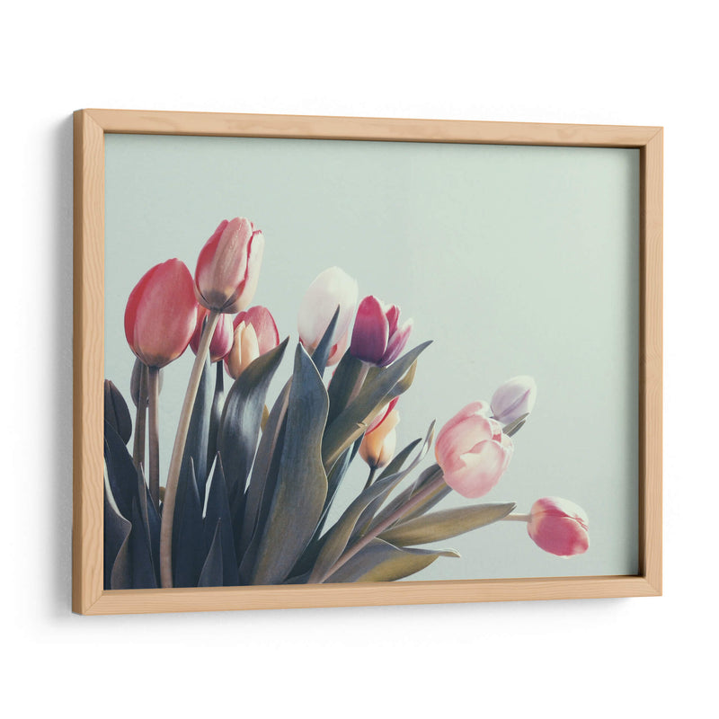 Suaves tulipanes | Cuadro decorativo de Canvas Lab