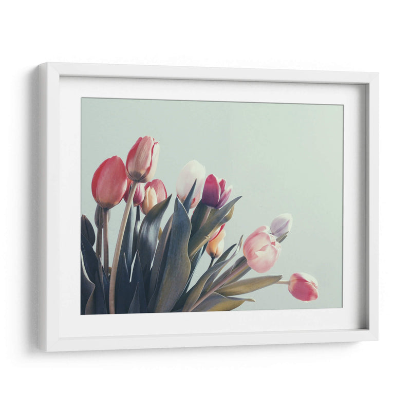 Suaves tulipanes | Cuadro decorativo de Canvas Lab