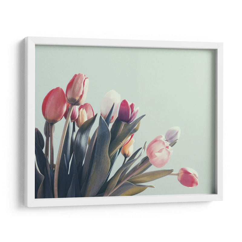 Suaves tulipanes | Cuadro decorativo de Canvas Lab