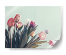 Suaves tulipanes | Cuadro decorativo de Canvas Lab