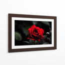 Rosa - Alvaro Martinz | Cuadro decorativo de Canvas Lab