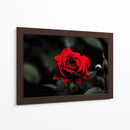 Rosa - Alvaro Martinz | Cuadro decorativo de Canvas Lab