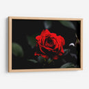 Rosa - Alvaro Martinz | Cuadro decorativo de Canvas Lab