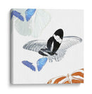 Inflorescencia De Mariposa I - A. Project | Cuadro decorativo de Canvas Lab