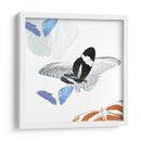 Inflorescencia De Mariposa I - A. Project | Cuadro decorativo de Canvas Lab