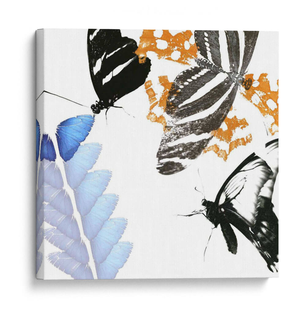 Inflorescencia De Mariposa Ii - A. Project | Cuadro decorativo de Canvas Lab