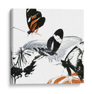 Inflorescencia De Mariposa Iii - A. Project | Cuadro decorativo de Canvas Lab