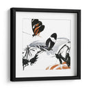 Inflorescencia De Mariposa Iii - A. Project | Cuadro decorativo de Canvas Lab