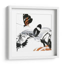 Inflorescencia De Mariposa Iii - A. Project | Cuadro decorativo de Canvas Lab