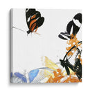 Inflorescencia De Mariposa Iv - A. Project | Cuadro decorativo de Canvas Lab