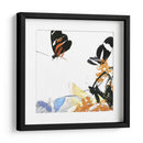 Inflorescencia De Mariposa Iv - A. Project | Cuadro decorativo de Canvas Lab