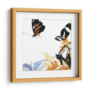 Inflorescencia De Mariposa Iv - A. Project | Cuadro decorativo de Canvas Lab