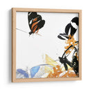 Inflorescencia De Mariposa Iv - A. Project | Cuadro decorativo de Canvas Lab