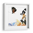 Inflorescencia De Mariposa Iv - A. Project | Cuadro decorativo de Canvas Lab