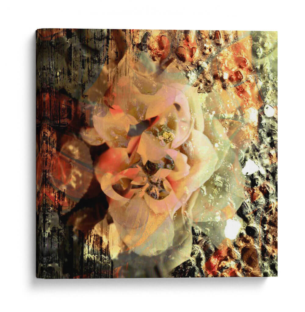 Eveline Ii - Danielle Harrington | Cuadro decorativo de Canvas Lab