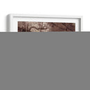 Constante Ii - Danielle Harrington | Cuadro decorativo de Canvas Lab