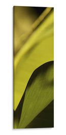 Detalle De La Hoja I - Tang Ling | Cuadro decorativo de Canvas Lab