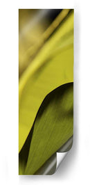 Detalle De La Hoja I - Tang Ling | Cuadro decorativo de Canvas Lab