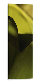 Detalle De La Hoja Ii - Tang Ling | Cuadro decorativo de Canvas Lab