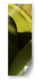 Detalle De La Hoja Ii - Tang Ling | Cuadro decorativo de Canvas Lab