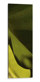 Detalle De La Hoja Iii - Tang Ling | Cuadro decorativo de Canvas Lab