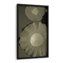 Lotus I - Tang Ling | Cuadro decorativo de Canvas Lab