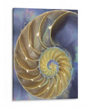 Extracción De Cáscara Ii - Lola Henry | Cuadro decorativo de Canvas Lab