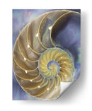 Extracción De Cáscara Ii - Lola Henry | Cuadro decorativo de Canvas Lab