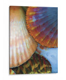 Extracción De Cáscara Iv - Lola Henry | Cuadro decorativo de Canvas Lab