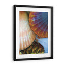 Extracción De Cáscara Iv - Lola Henry | Cuadro decorativo de Canvas Lab