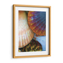 Extracción De Cáscara Iv - Lola Henry | Cuadro decorativo de Canvas Lab