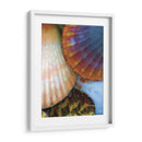 Extracción De Cáscara Iv - Lola Henry | Cuadro decorativo de Canvas Lab