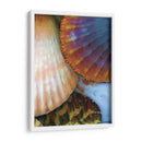 Extracción De Cáscara Iv - Lola Henry | Cuadro decorativo de Canvas Lab