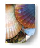 Extracción De Cáscara Iv - Lola Henry | Cuadro decorativo de Canvas Lab