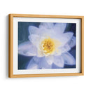 Pinterly Flower Iii - Lola Henry | Cuadro decorativo de Canvas Lab